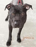 Jessica @ Petco